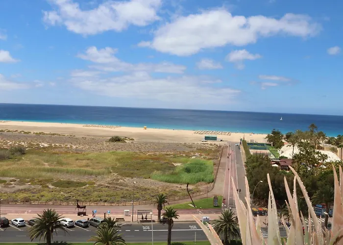 Playa Mirar In Palm Garden