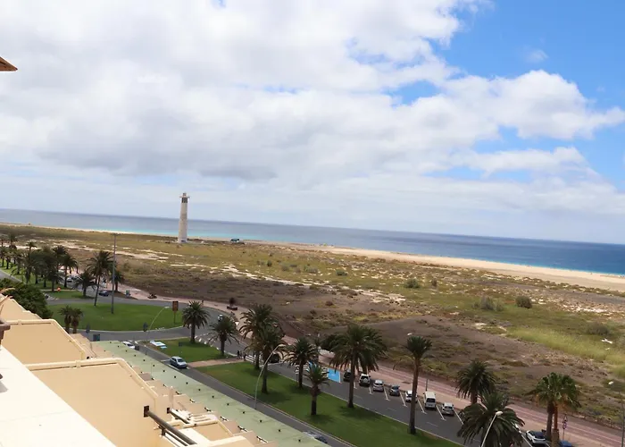 Playa Mirar In Palm Garden