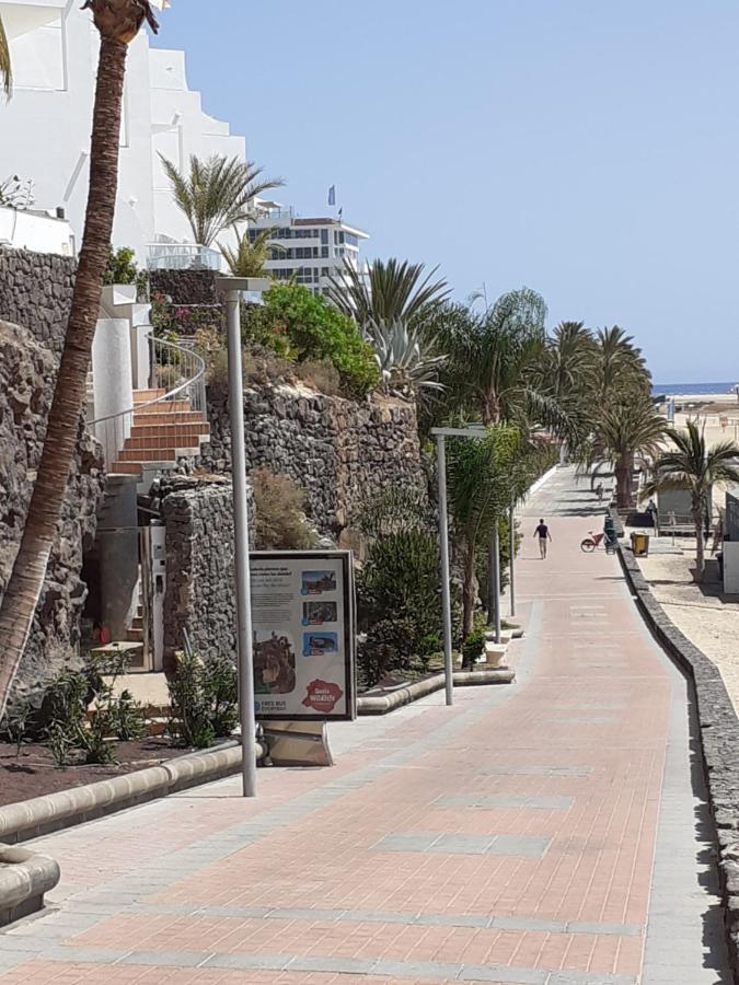 Playa Mirar In Palm Garden