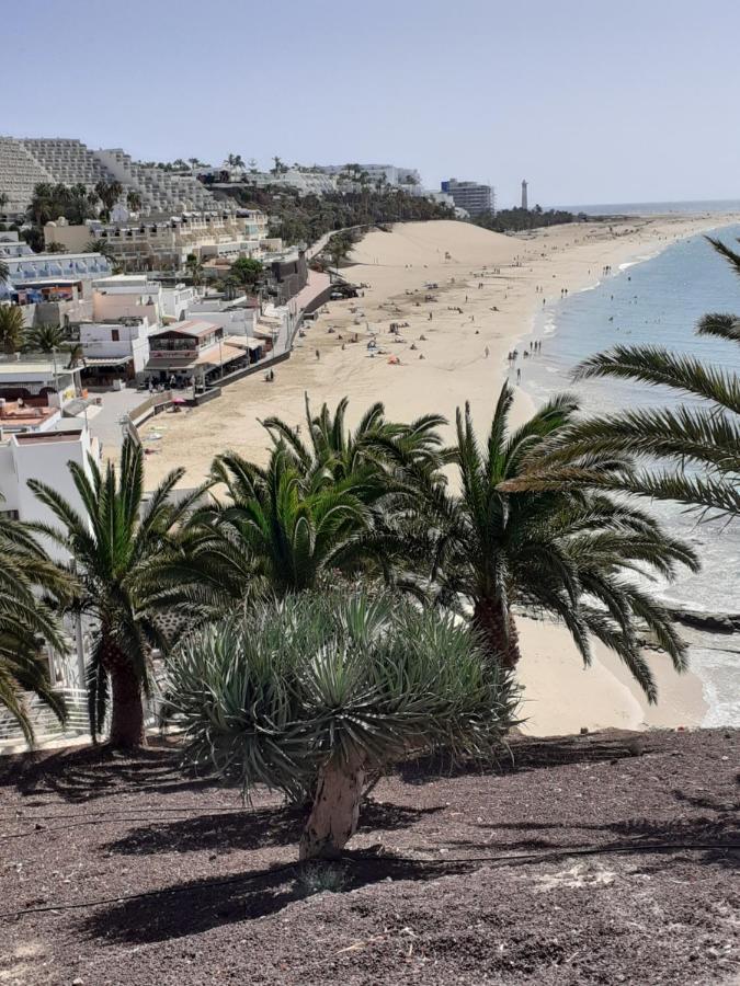 Playa Mirar In Palm Garden
