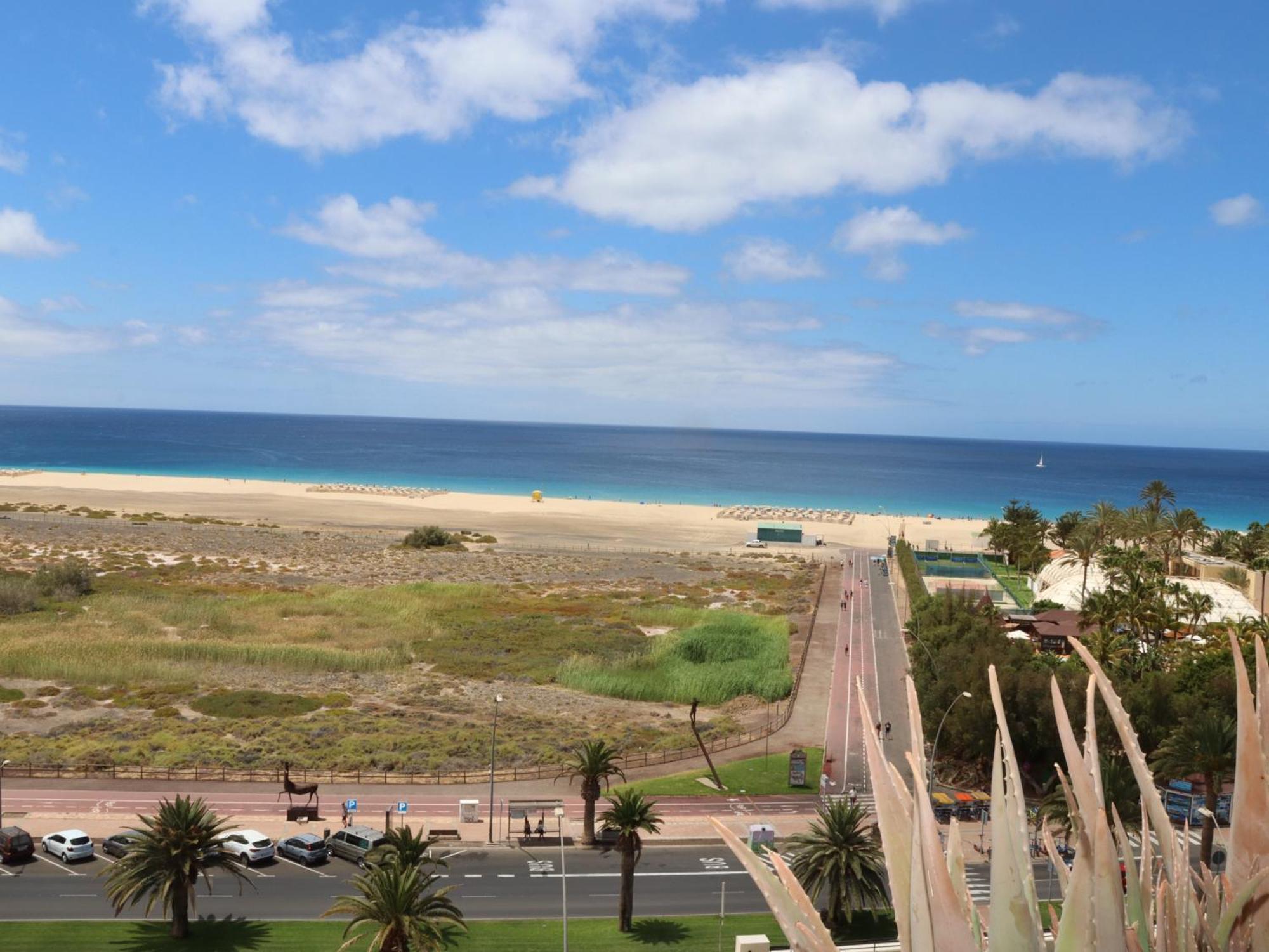 Playa Mirar In Palm Garden Apartment *
